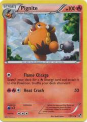 Pignite 17/114 Cracked Ice Holo Promo - Excellent Emboar Box Exclusive